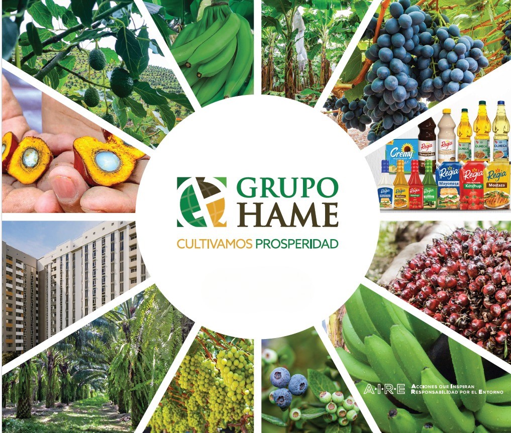 Grupo HAME
