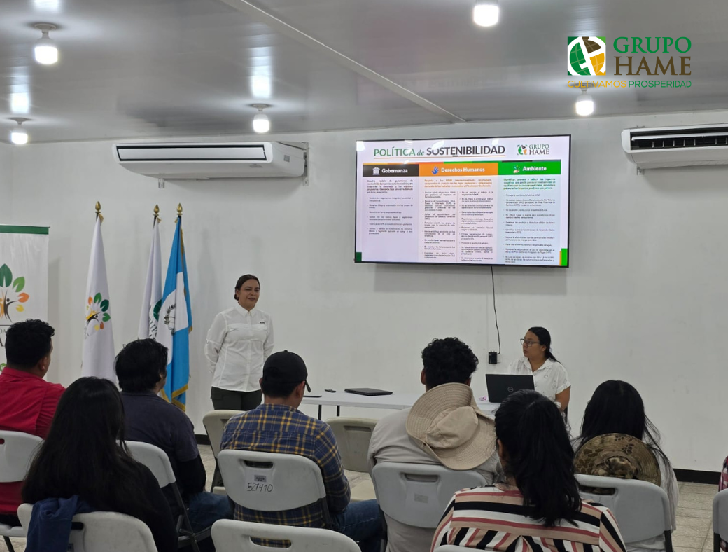 Grupo HAME USAC
