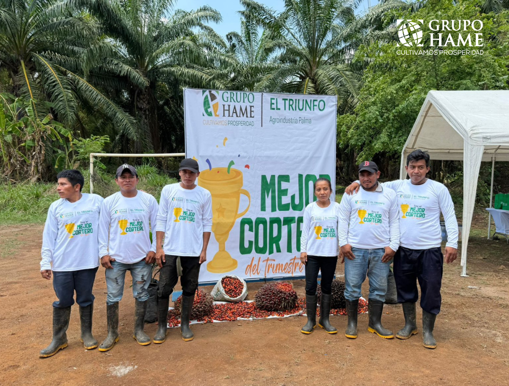 Mejores corteros Grupo HAME