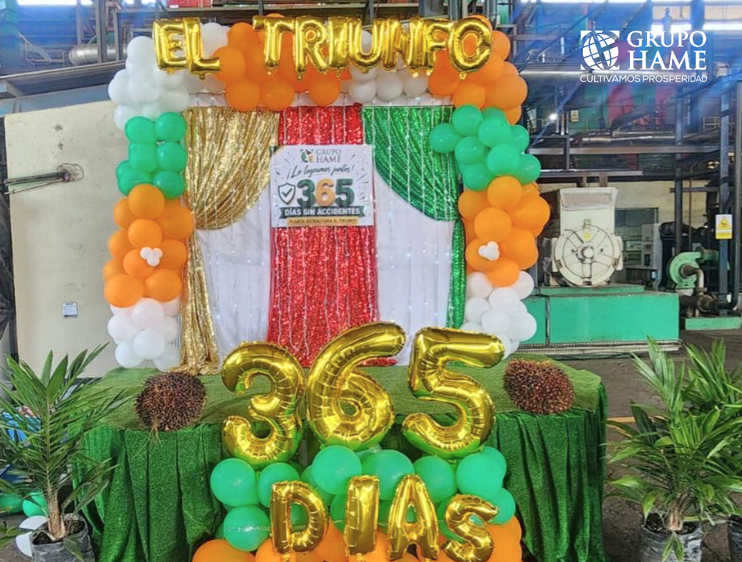 Grupo HAME El Triunfo