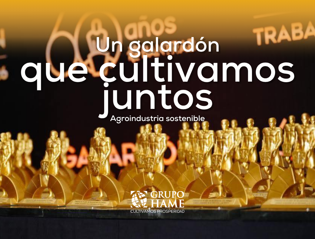 Premio Bantrab Grupo HAME