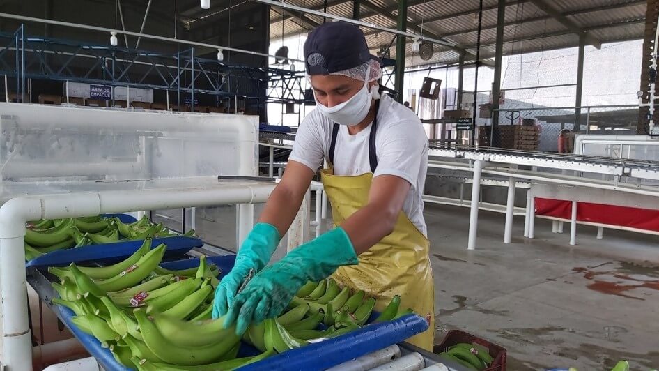 banano-hombre-con-mascarilla