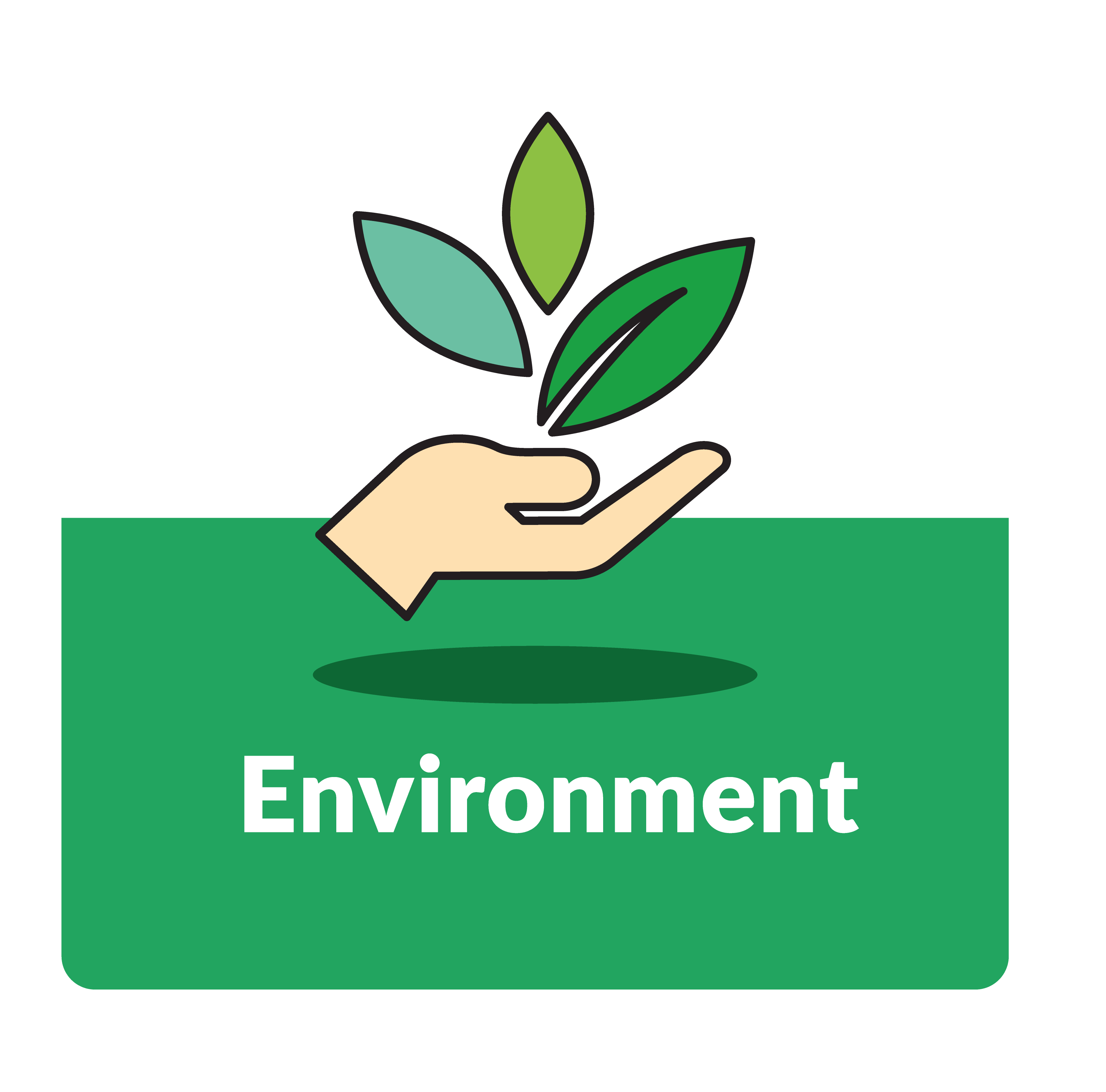 environment