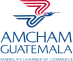 logo amcham 1 1